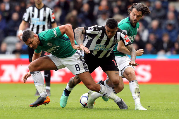 並不陌生 並不陌生